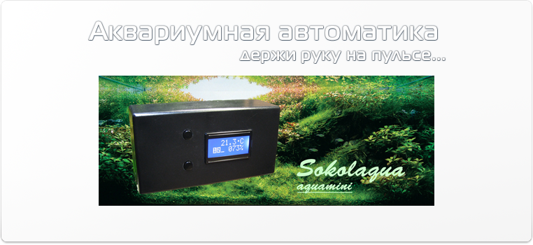 Аквариумная автоматика